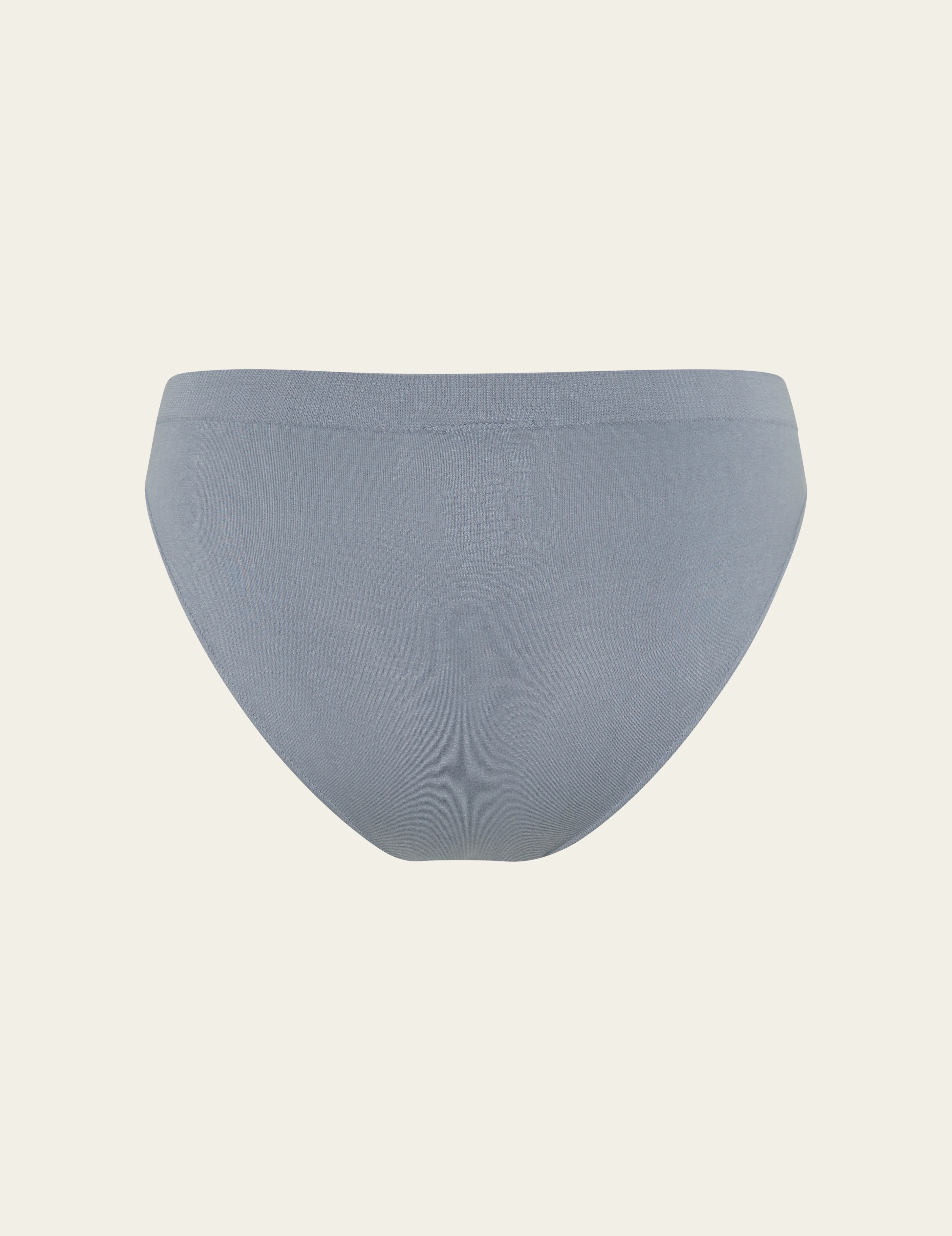 Classic Bikini - Dusty Blue - Image 14
